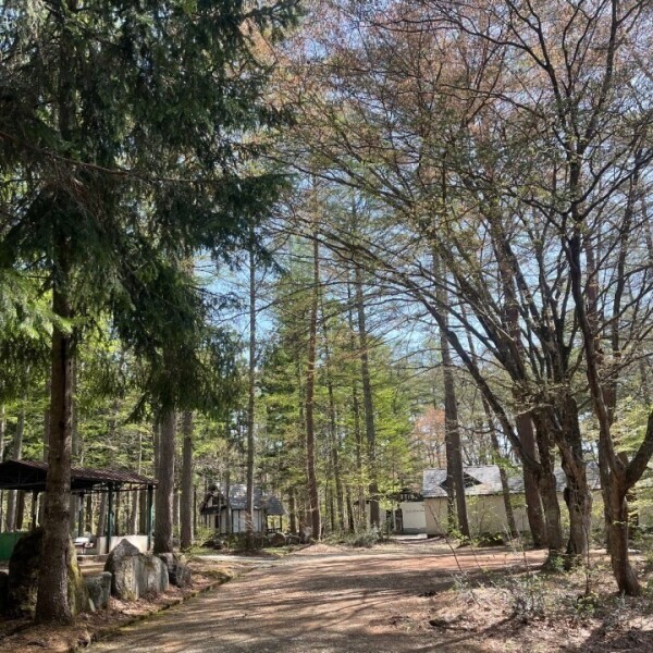春キャンプ🏕🌸