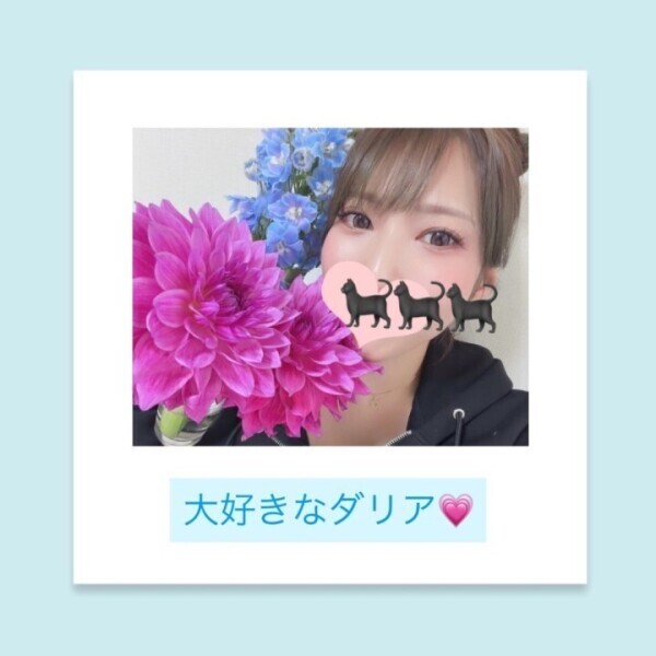 ダリア♡