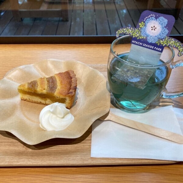 5月前半の予定☆