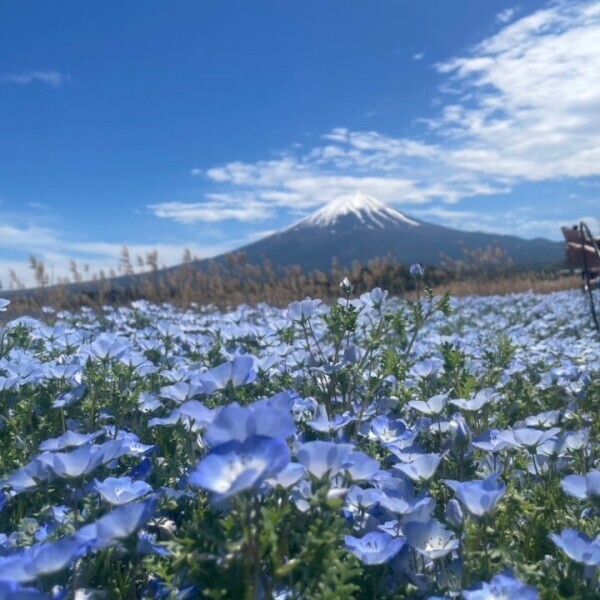 なほさん GW最終日出勤❣️