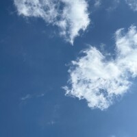 わた