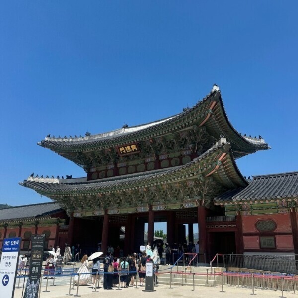 楽しい