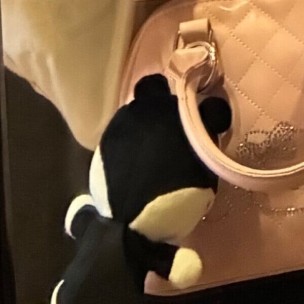 抗って、、