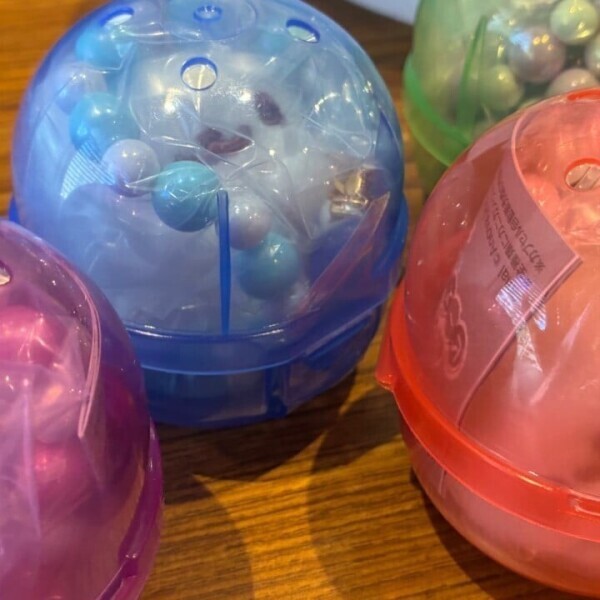 こんなお天気ですが、、