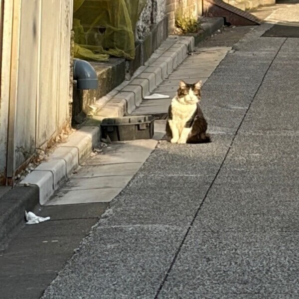 17時に変更