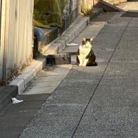 もあ