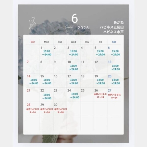 6月の予定