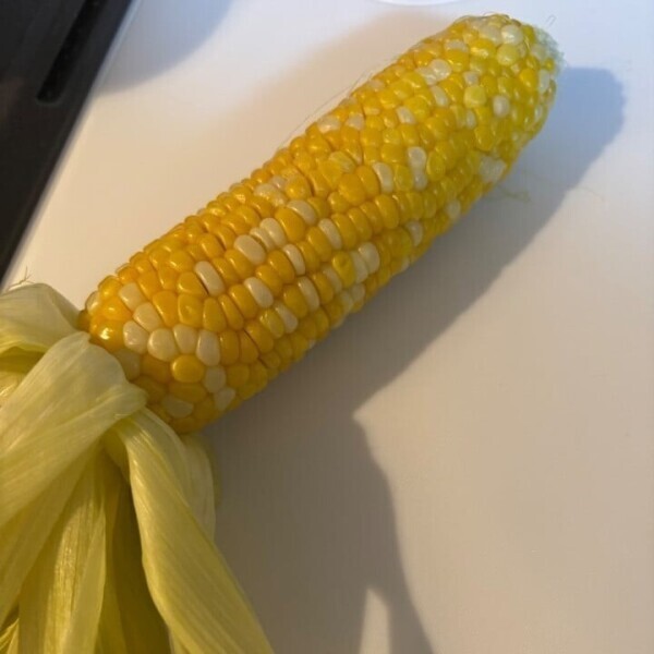 とうもろこし