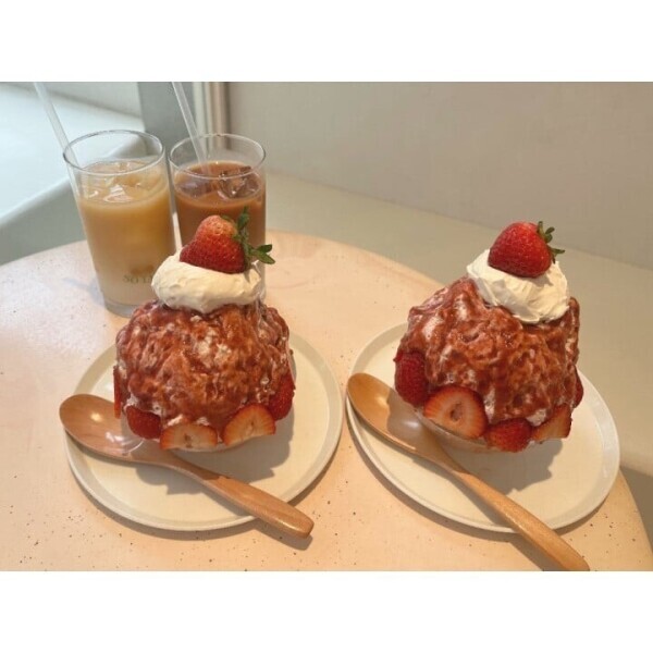 明日います>⩊<✨