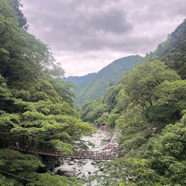 明日お店戻るね🧚‍♀️