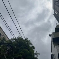 みひな