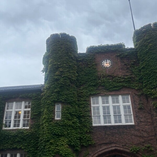 🧱🏫🎓