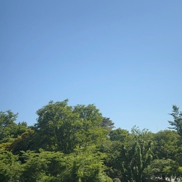 ☀️🫡
