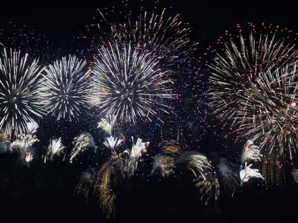 🎆✨