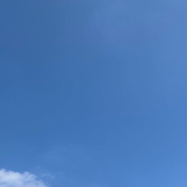 出勤🥐
