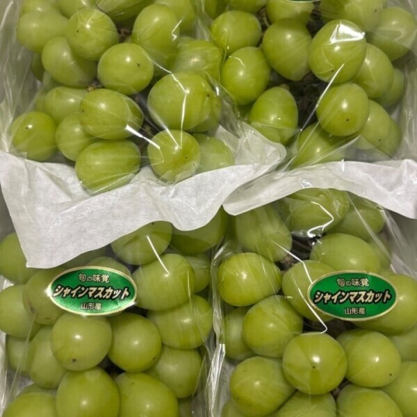 出勤🍇