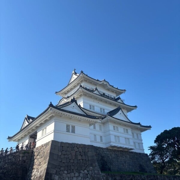 小田原城🏯