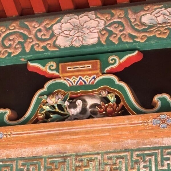 出勤🐈