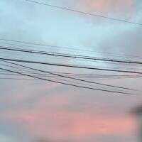 ゆの