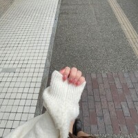 こよい