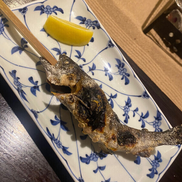 箱根♨️