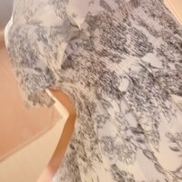 リリィ