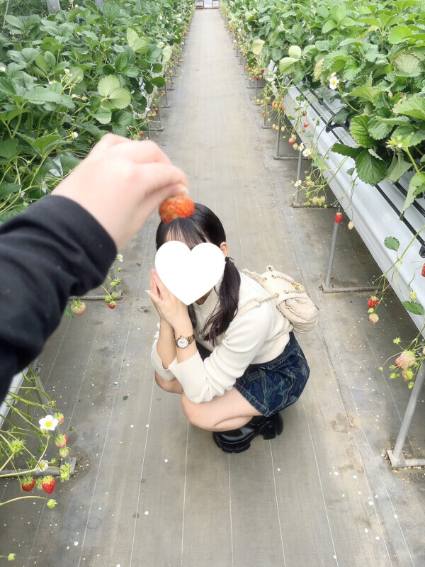 いちご狩り