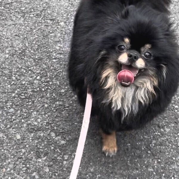 久しぶりの早番🎶