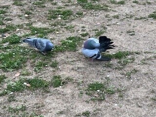 でらっくすにいる。