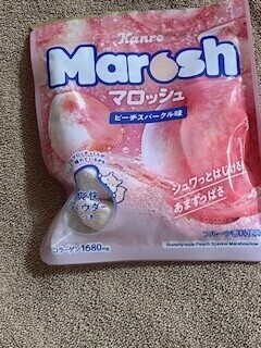 後半もよろしくお願いします😇