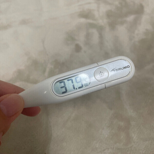 熱のためおやすみ😿