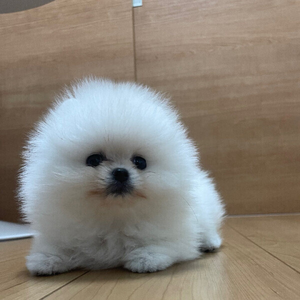 出勤だよ❕