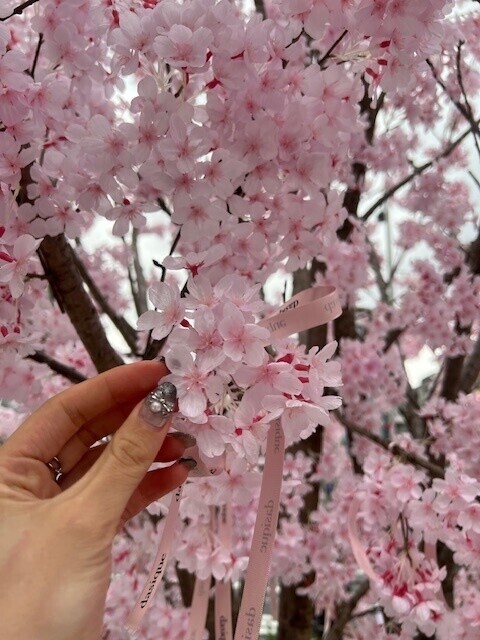 まったりDAY🌸