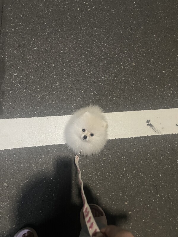 おやすみです‼️