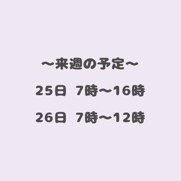 🫶来週の予定🫶