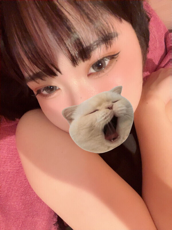 🪽-- 6月は3日から --🪽