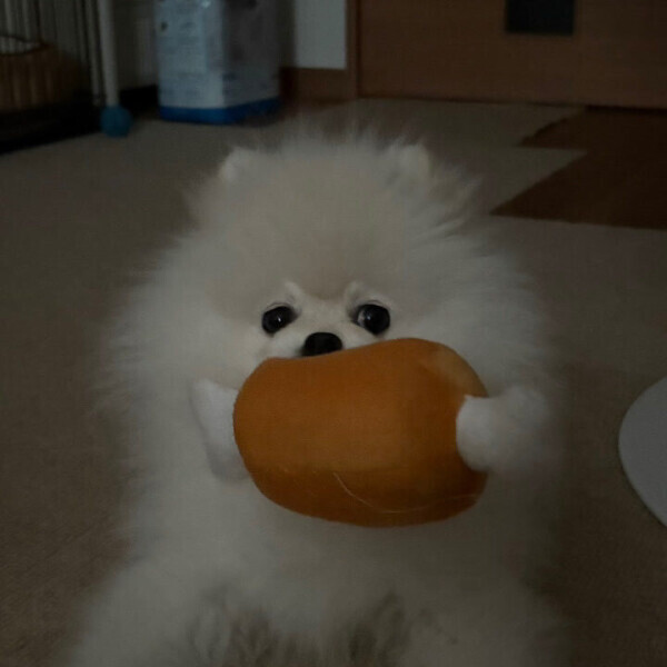本日の出勤について