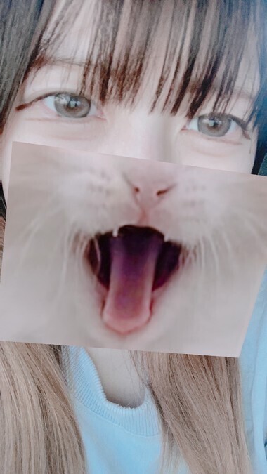 きょ