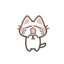 本日