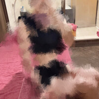 れおら
