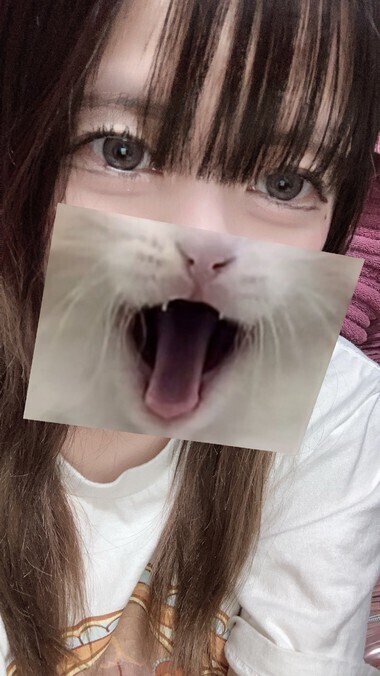 らすとまでっ！