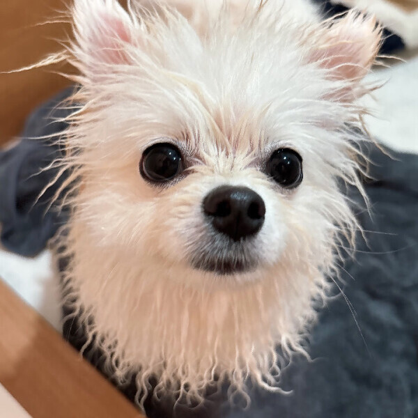 ‎🤍米子遠征でした‎🤍