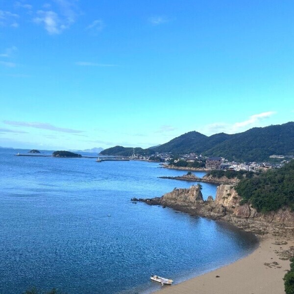 復帰⸜(* ॑꒳ ॑* )⸝🩵