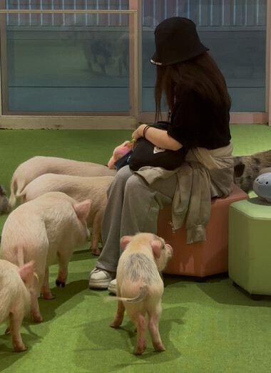 きょいます！ただいま！