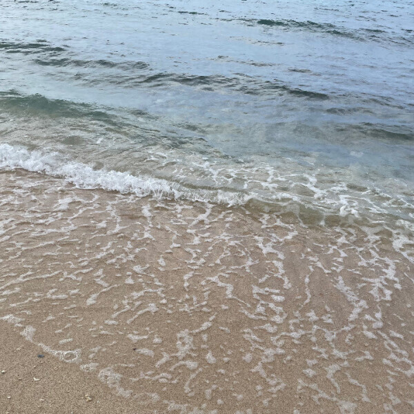 出勤しますー！