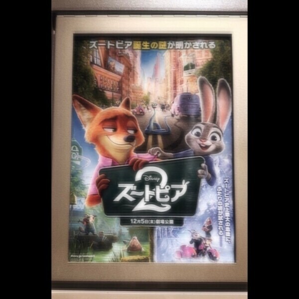 映画みた 🐰🦊‪‪❤︎‬