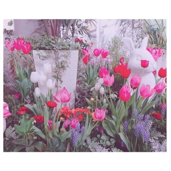 なかよくしてね♡