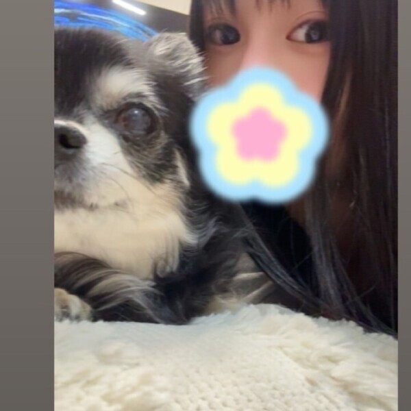 あしたもいますー❣️