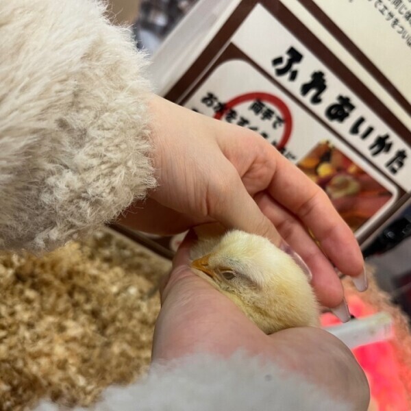💗( ˘꒳˘ 愛 )