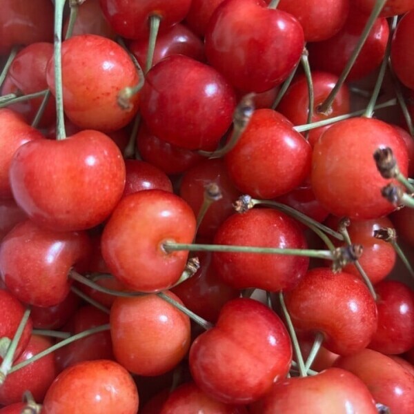 🍒🍒🍒